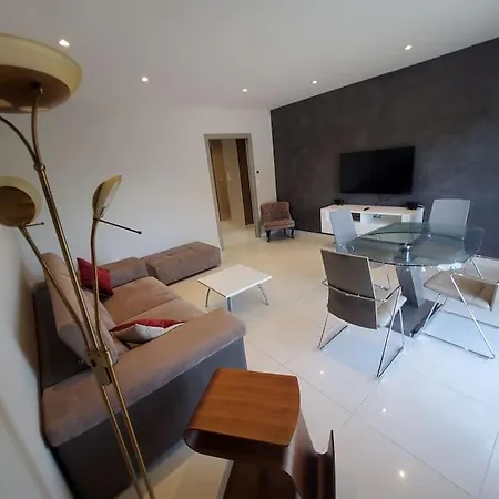 Apartment Parking Et Balcon-groupama Stadium-eurexpo