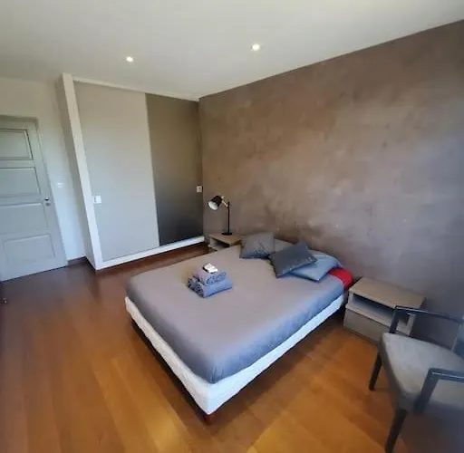 Apartment Parking Et Balcon-groupama Stadium-eurexpo Le Carreau