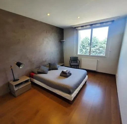 Apartamento Parking Et Balcon-groupama Stadium-eurexpo